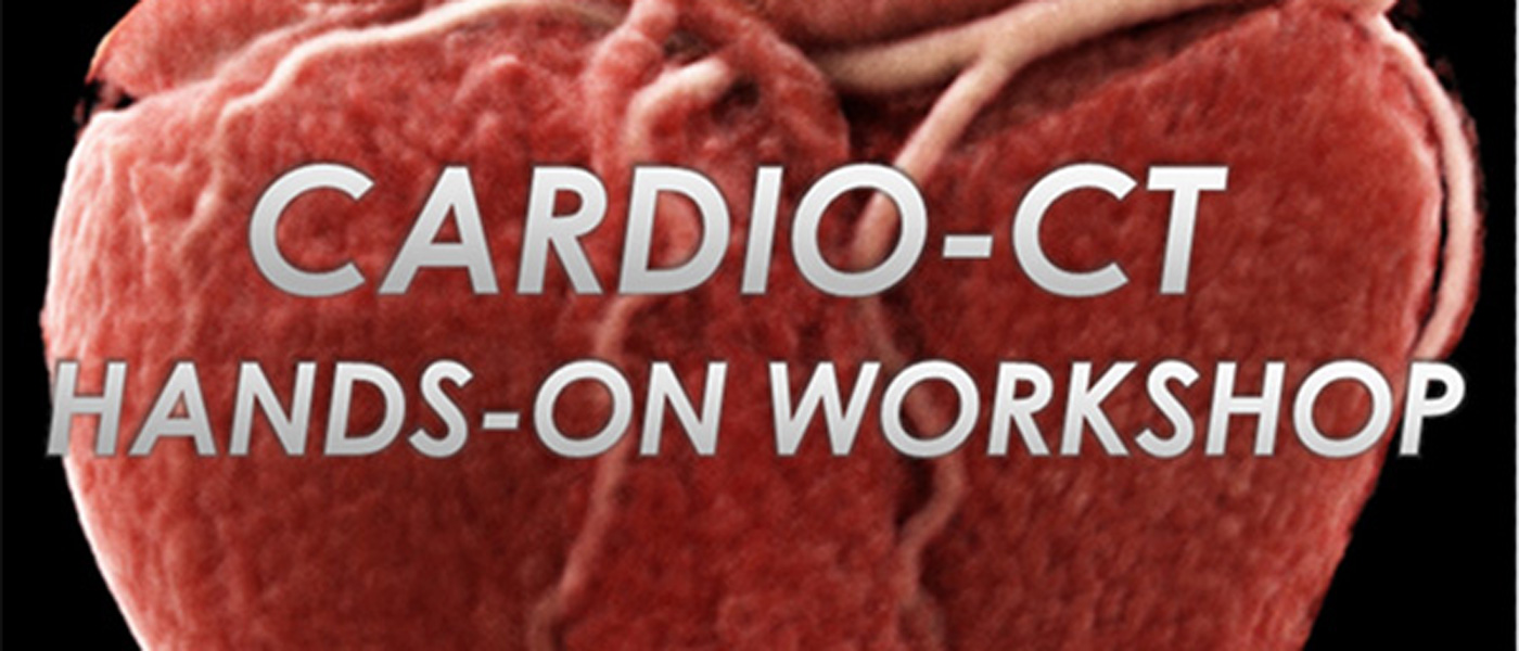 Cardio-CT Hands-on-Workshop