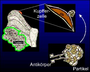 eisenoxid04.jpg